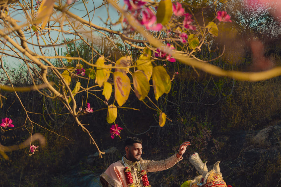 Wedding at Fateh Garh, Udaipur