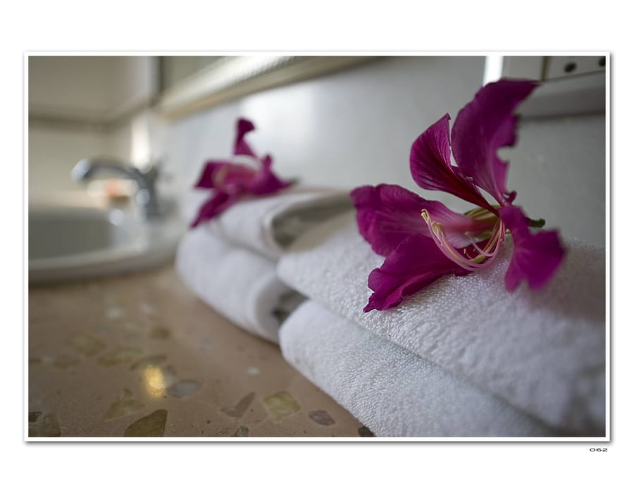Sansha Spa at Fateh Niwas, Udaipur