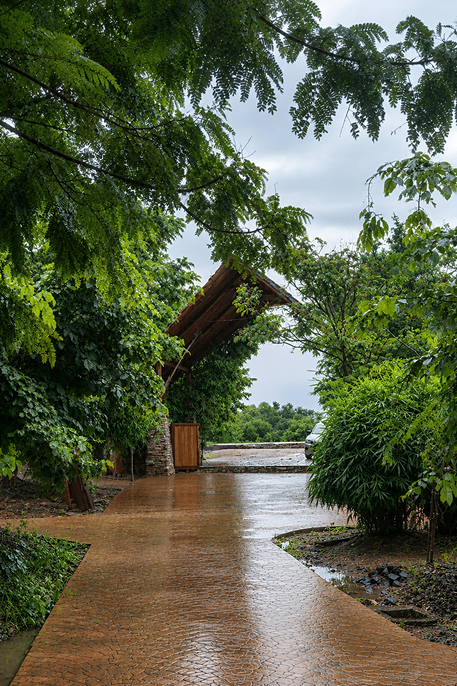 The entrance archway of The Garud Forest, Tadoba, at the end of a wet driveway framed by dense, green monsoon foliage
