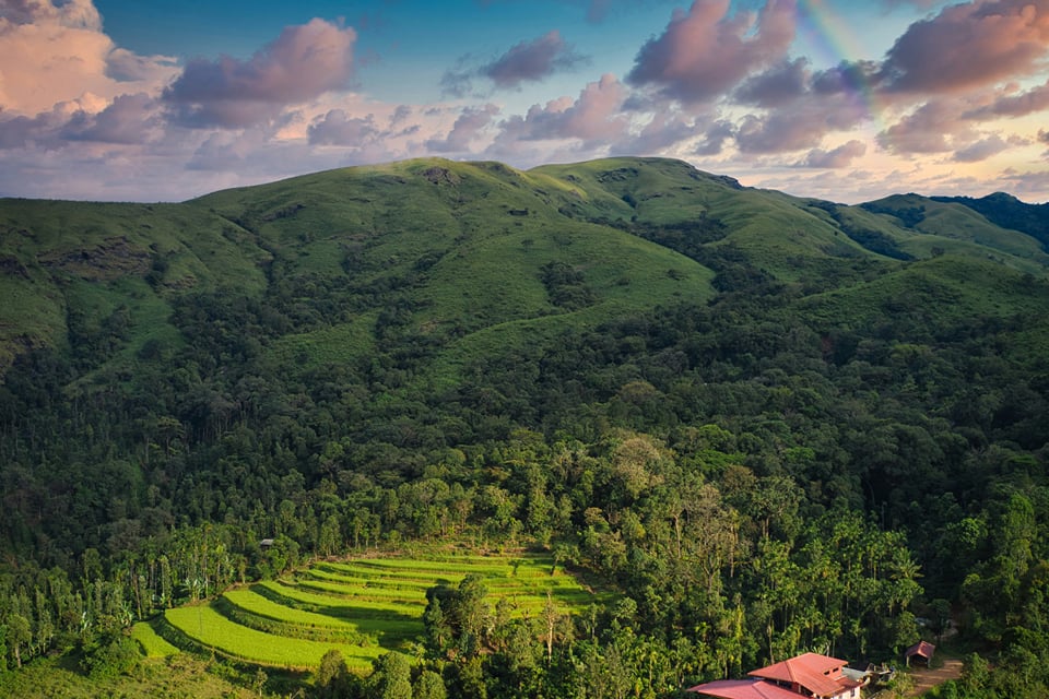 Forested hills and terraced green fields under a sunset sky in Chikkamagaluru