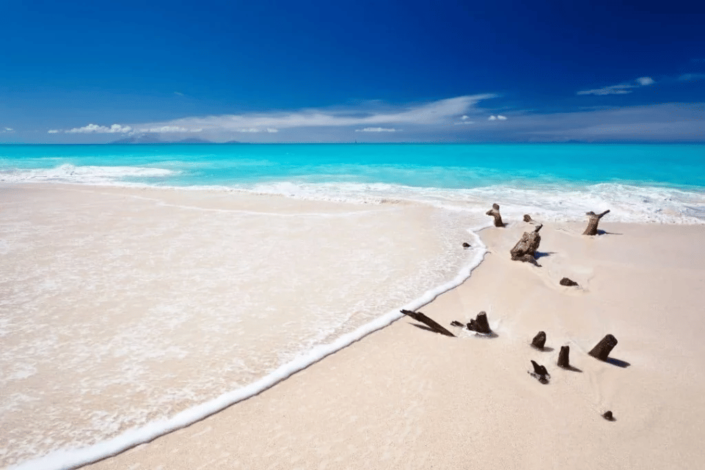 A beach with turquoise waters, white sand, and seagulls near the shoreline under a clear blue sky.
