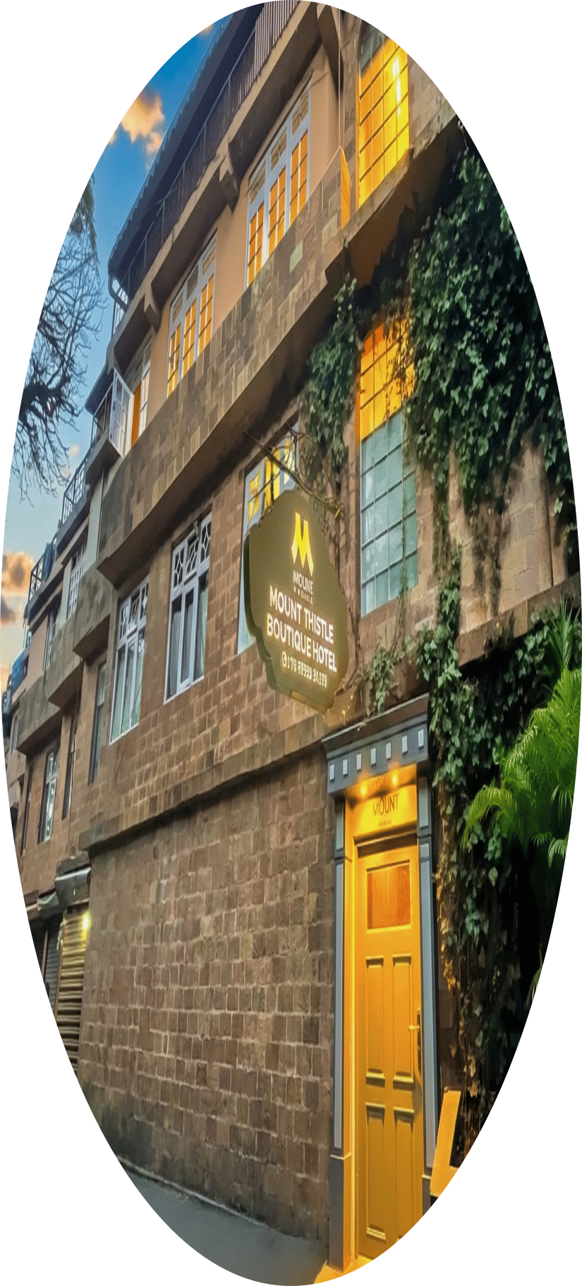 Mount Thistle Boutique Hotel in Darjeeling featuring a rustic stone exterior, ivy-covered walls, warm-lit windows, and a cosy boutique entrance.