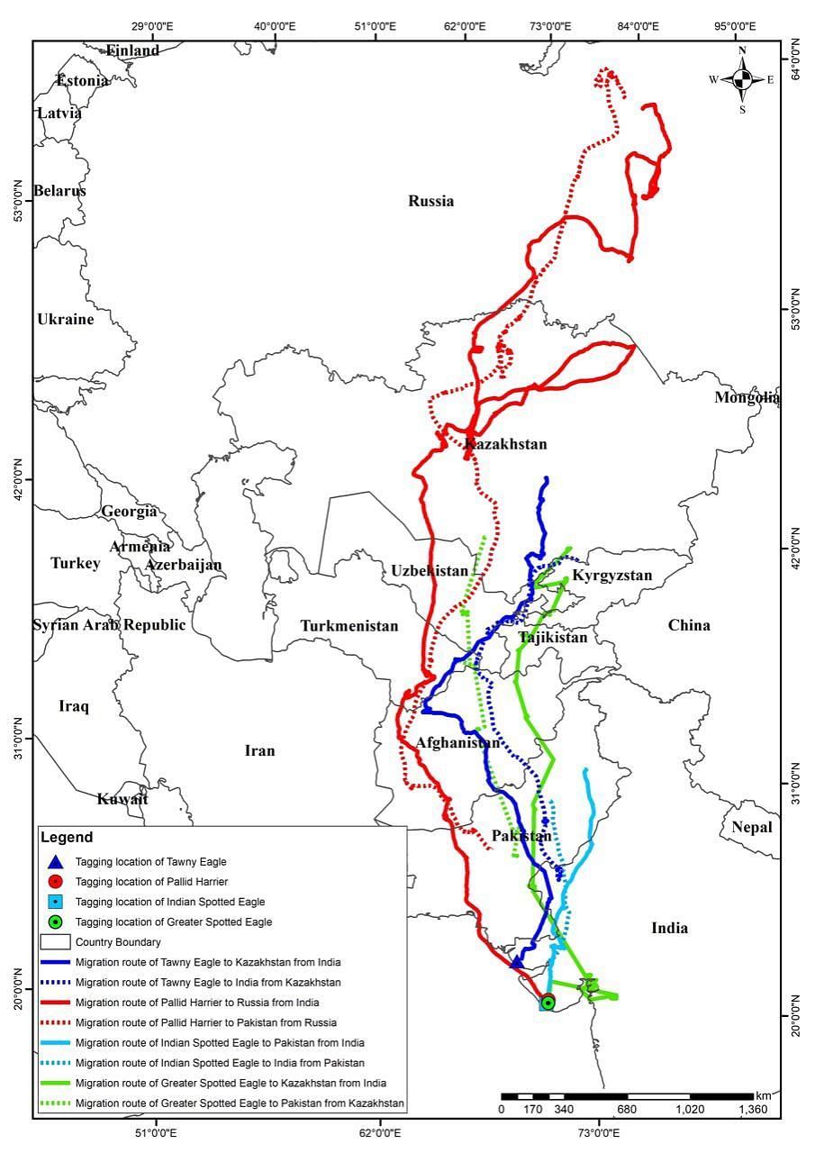 Aramness - Migration Flyway map