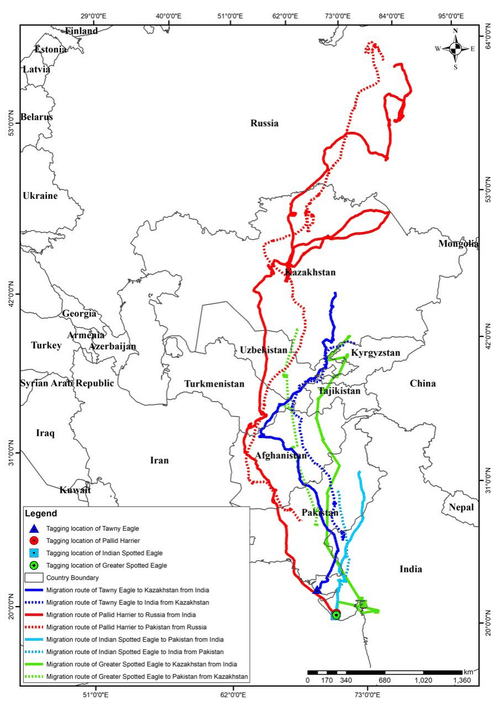 Aramness - Migration Flyway map