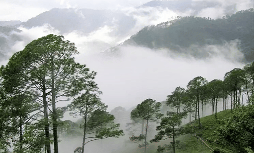 Araku valley winter Hotel Daspalla Hotel in Visakhapatnam