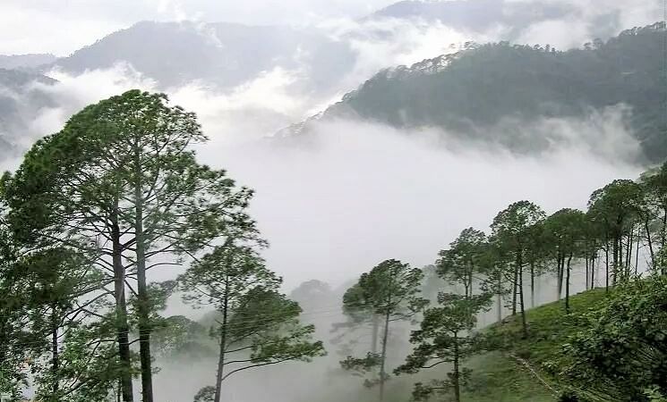 Araku valley winter Hotel Daspalla Hotel in Visakhapatnam