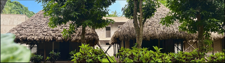 A view of the Barefoot Scuba Resort, showcasing a traditional thatched roof building surrounded by lush greenery, suggesting a serene and nature-immersed setting.