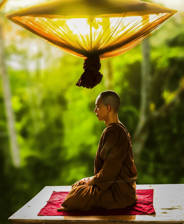 A person in a brown robe meditates peacefully on a red mat, bathed in golden light, with lush green foliage outside