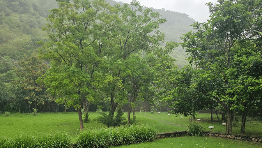 Landscape - Monsoon at Surya Bagh-3