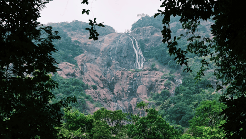 Dudhsagar Waterfalls, located on the border of Goa and Karnataka,  with grandeur and lush surroundings 