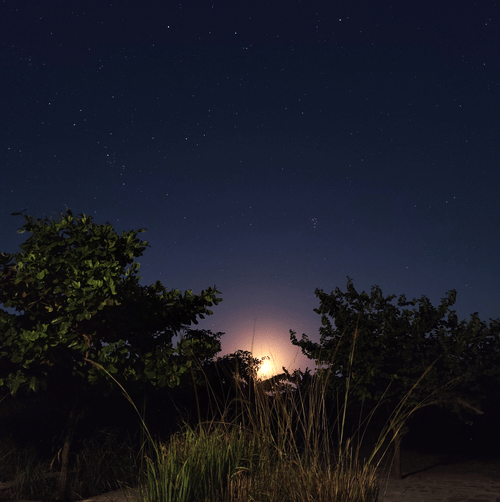 Aramness - a portrait view of the sun setting by the forest