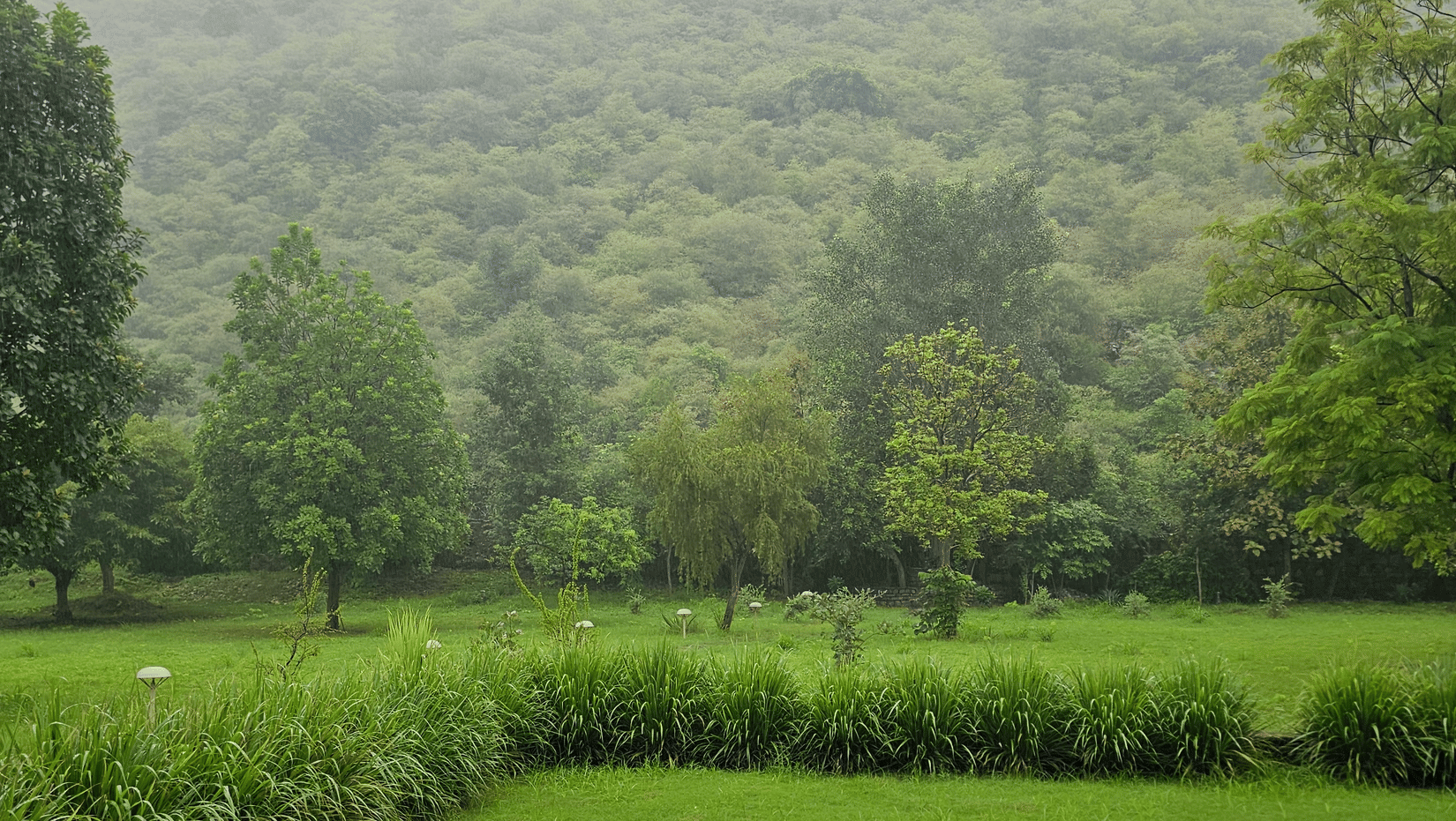 Landscape - Monsoon at Surya Bagh-2