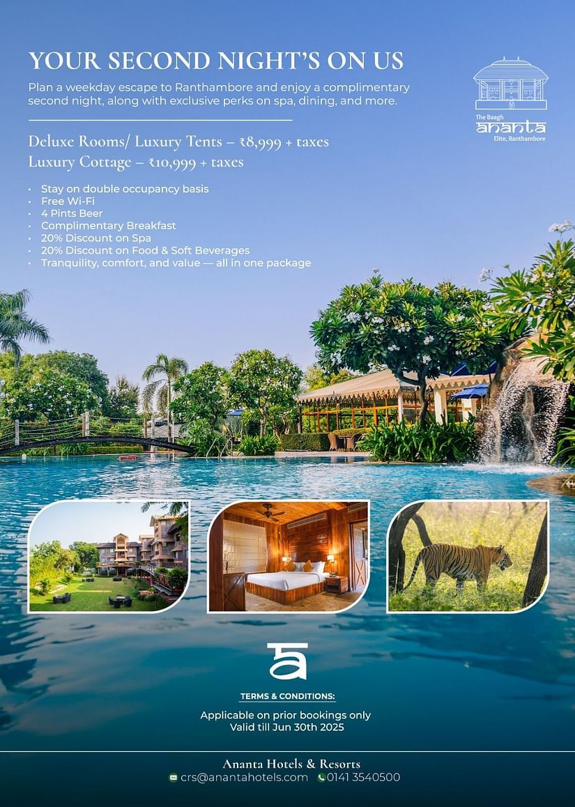The Baagh Ananta Elite, Ranthambore brochure features a luxury resort with a large swimming pool, lush greenery, and a villa. Smaller images show a spa treatment, fine dining, and a safari. Text promotes a relaxing holiday experience