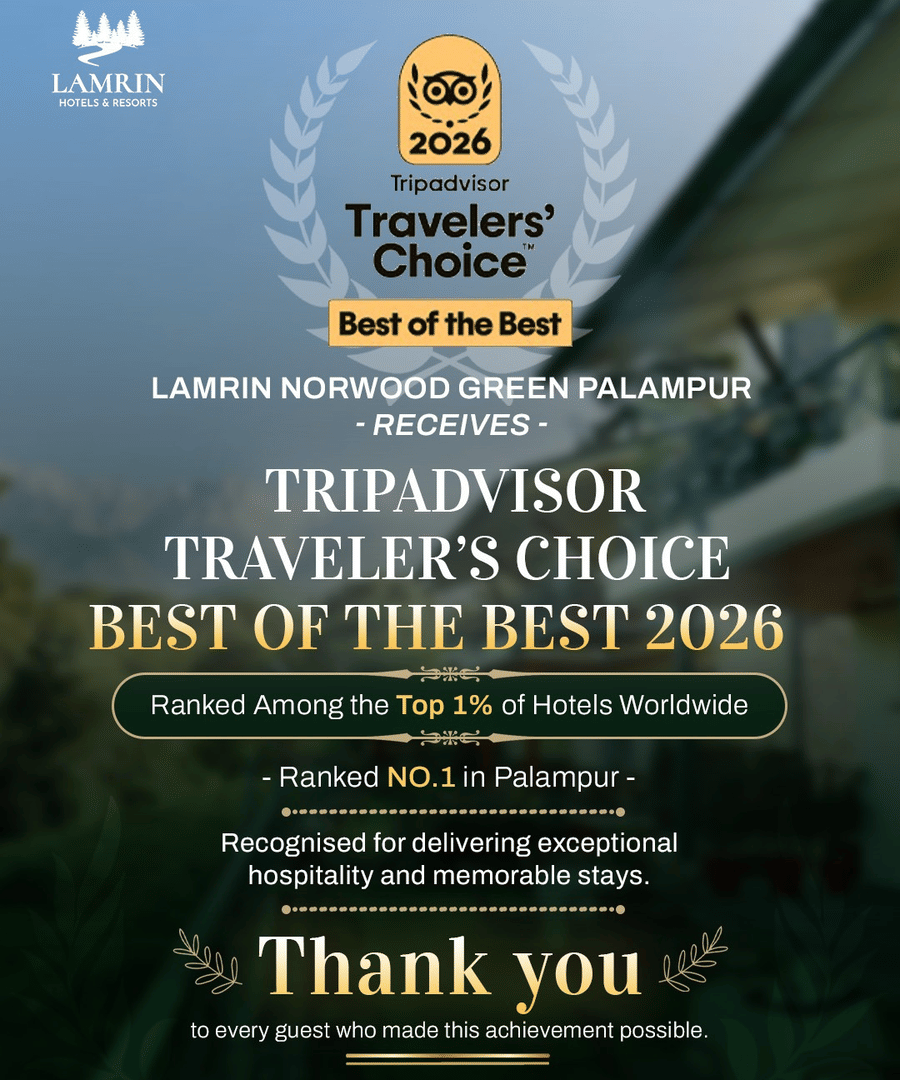 Tripadvisor Travellers Choice Award 2026 recognition awarded to Lansdowne Grove Hotel for exceptional guest experiences and hospitality excellence