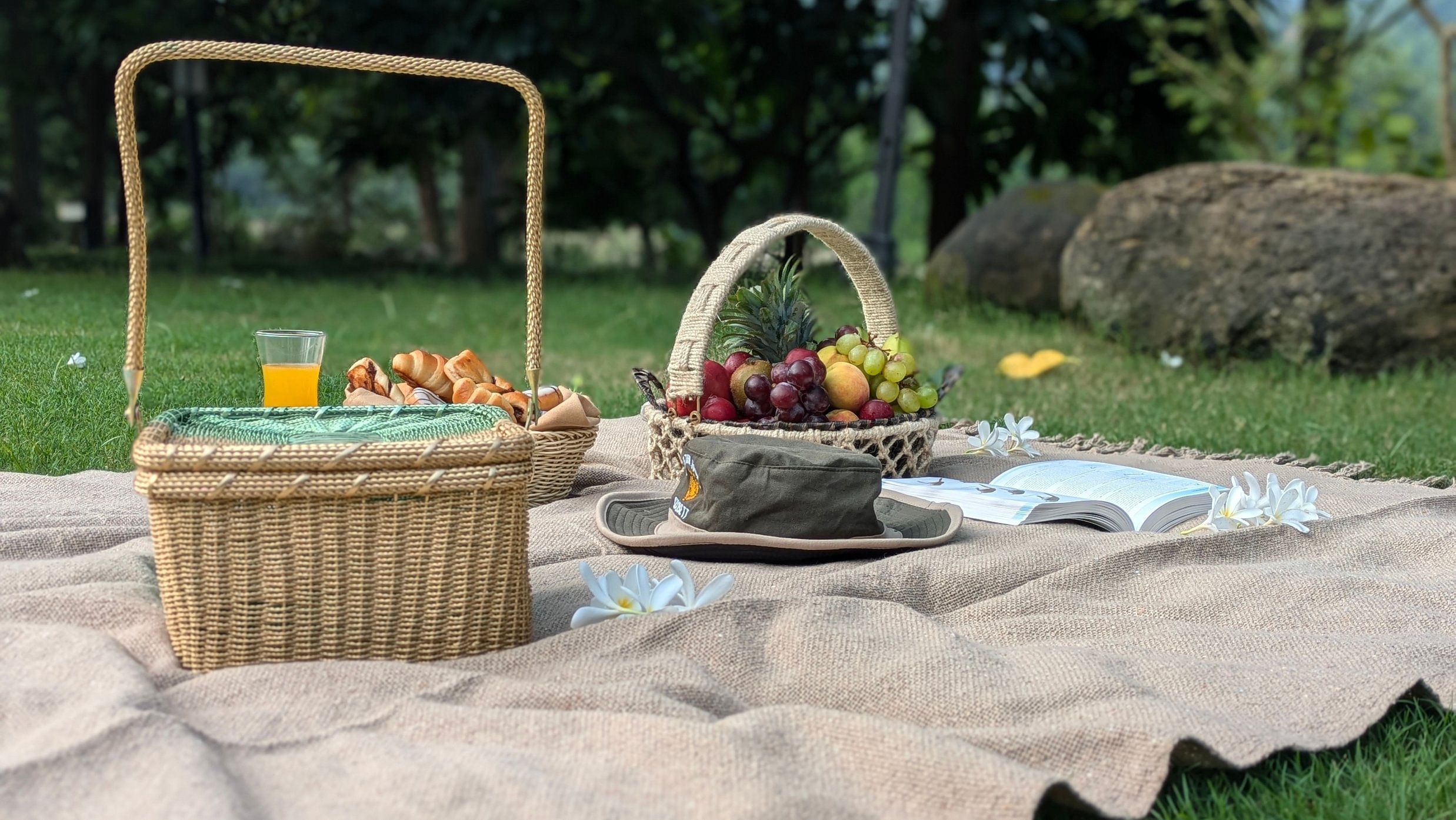 picnic
