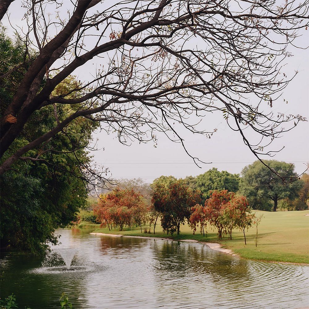 Lake and tree landscape view from Karma Chalets, showing a water body, grassy areas, and distant trees under a clear sky.