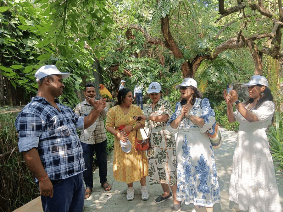Visitors at EsselWorld Bird Park, Mumbai, interacting with a bright yellow bird in a lush green walkway, as some guests smile, take photos, and enjoy the natural surroundings.