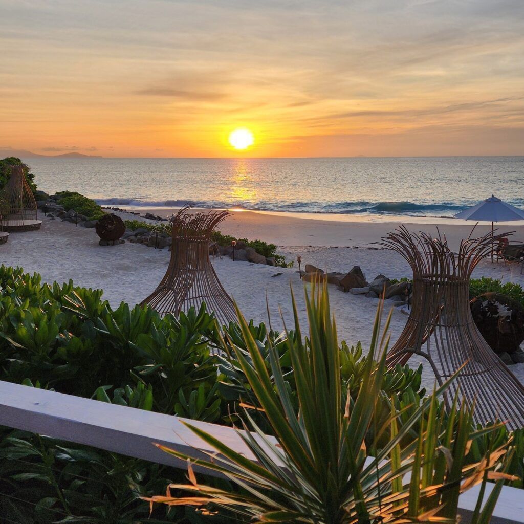 A golden sunset over the ocean, viewed from a beach deck with decorative woven elements and lush green plants.