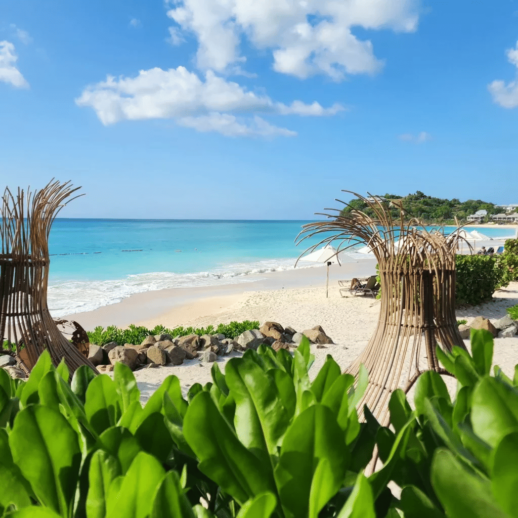 Peaceful beach scene in Antigua with gentle waves and tropical plants along the shore