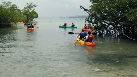 A group of kayakers paddle in a calm, clear bay surrounded by lush mangrove trees under a bright, sunny sky.