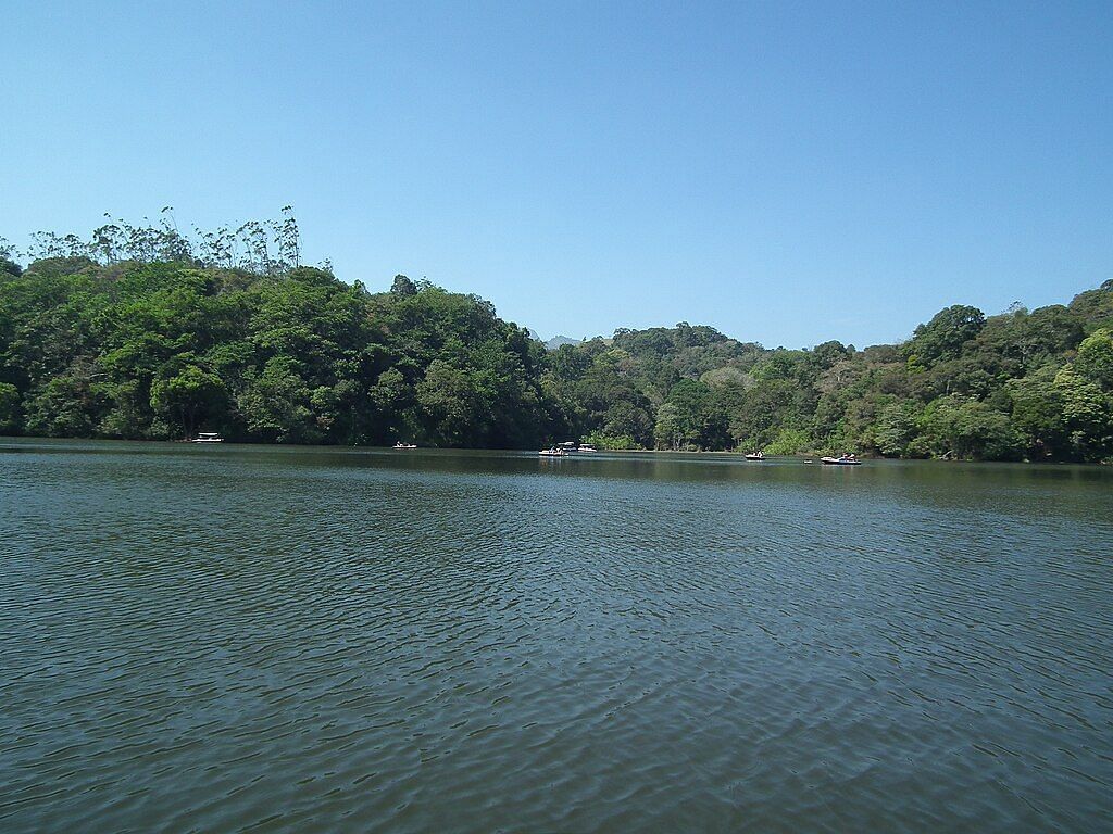 Image of a lake surrounded by trees and calm waters