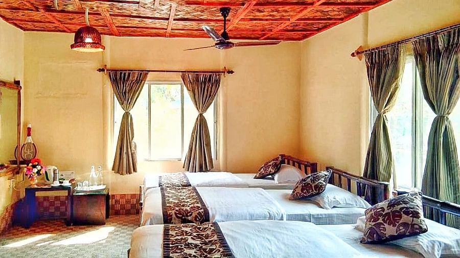 Three single beds inside the Non A.C Hut with curtains on the windows - Sunderban Tiger Camp, Dayapur