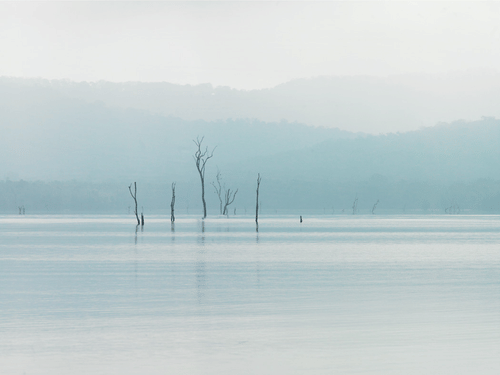 The backwaters viewed from The Serai Resort in Kabini under a hazy sky