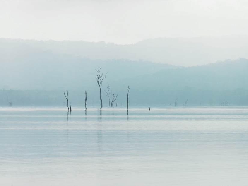 The backwaters viewed from The Serai Resort in Kabini under a hazy sky