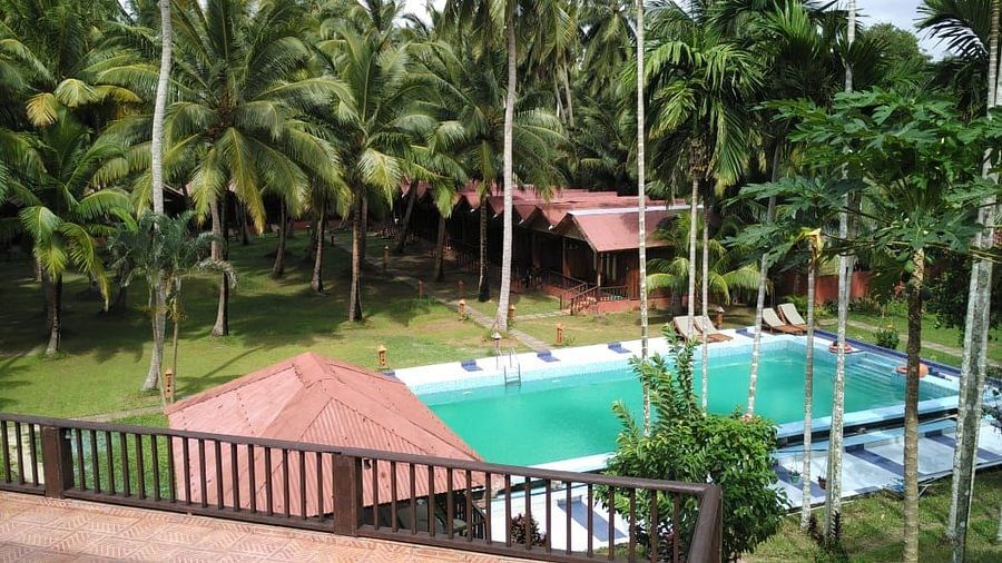 Swimming Pool surrounded with trees and greenery in Port Blair Resort 