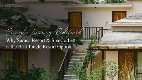 Serene resort balcony with rustic charm, overlooking lush trees and greenery.