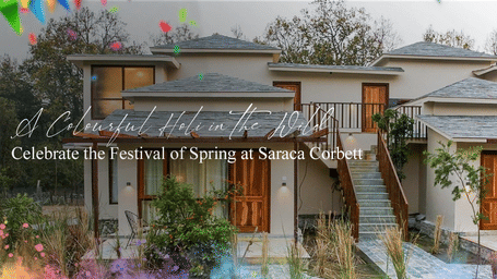 Wooden cottage exterior at a forest resort in Corbett surrounded by trees.