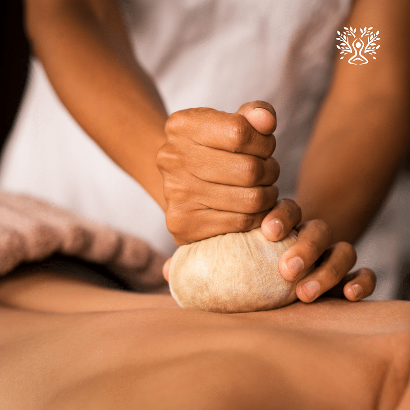 holistic website (3)