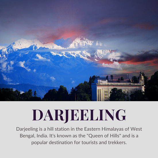 DARJEELING (1)