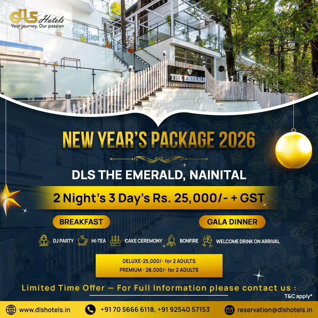 New Year package banners from DLS Hotels showcasing property images, stay details, and festive holiday offers and inclusions.