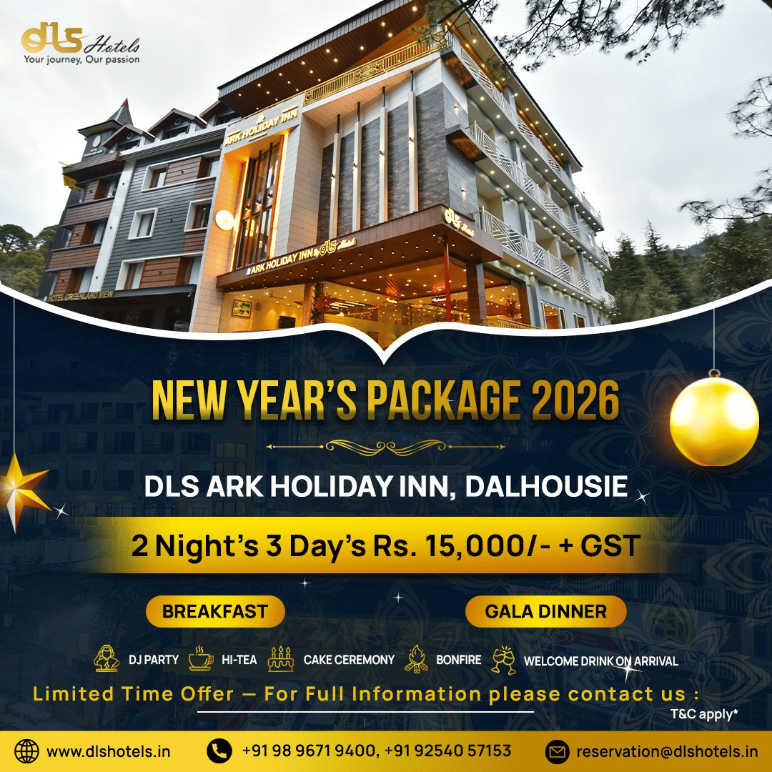 New Year package banners from DLS Hotels showcasing property images, stay details, and festive holiday offers and inclusions.