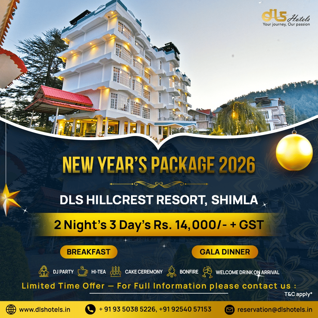 New Year package banners from DLS Hotels showcasing property images, stay details, and festive holiday offers and inclusions.