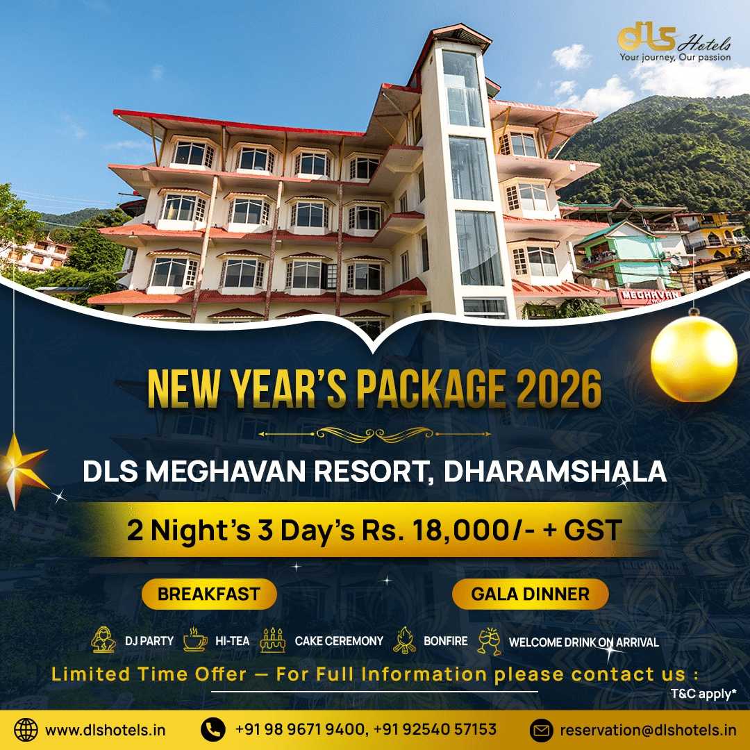 New Year package banners from DLS Hotels showcasing property images, stay details, and festive holiday offers and inclusions.