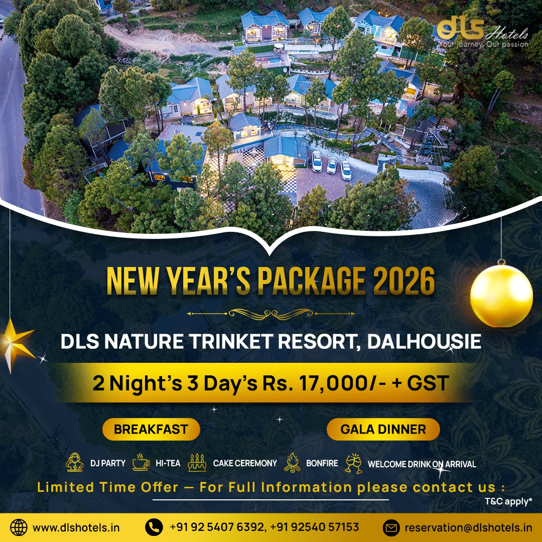 New Year package banners from DLS Hotels showcasing property images, stay details, and festive holiday offers and inclusions.