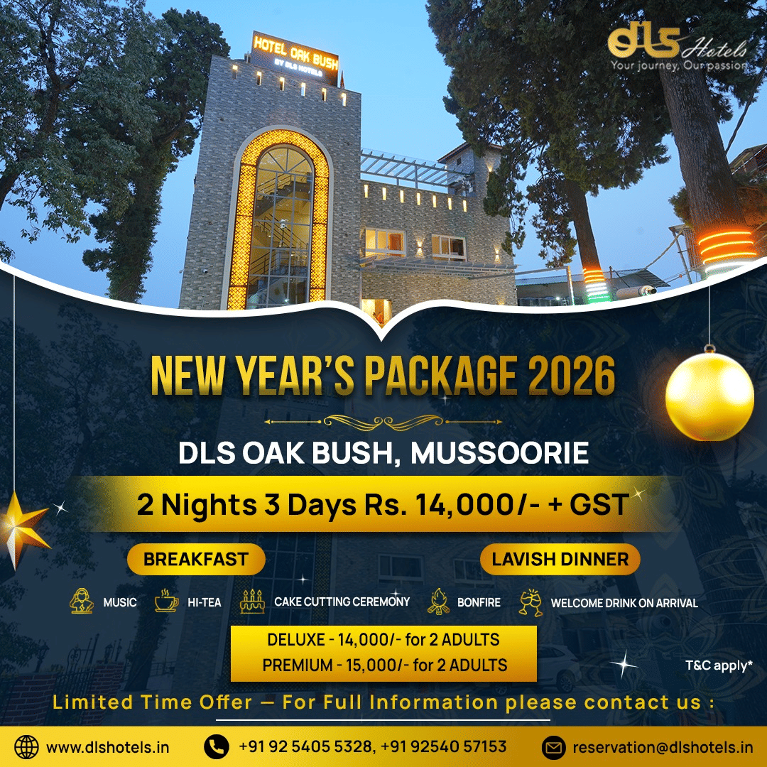 New Year package banners from DLS Hotels showcasing property images, stay details, and festive holiday offers and inclusions.