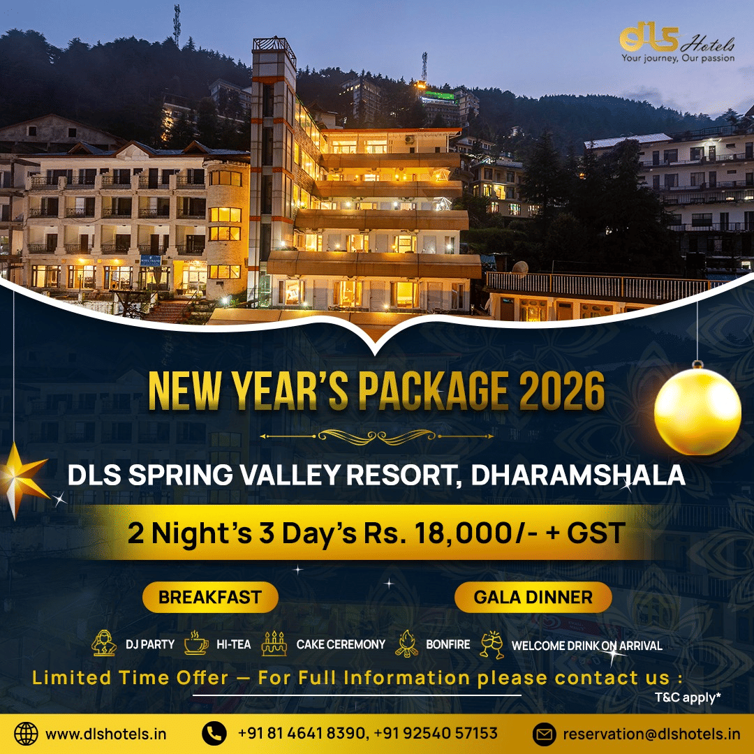 New Year package banners from DLS Hotels showcasing property images, stay details, and festive holiday offers and inclusions.
