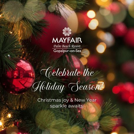 A creative which says celebrate the holiday season at MAYFAIR Palm Beach Resort, Gopalpur. It also features Christmas tree decorated with lights and other items.