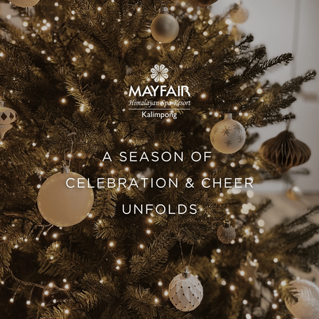 A creative which says that a season of celebration and cheer unfolds at MAYFAIR Himalayan Spa Resort, Kalimpong. It also featuring decorative items hanged on a Christmas tree.