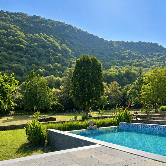 Pool-Surya Baghg-Serene forest pool retreat-3