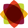 Group 155982