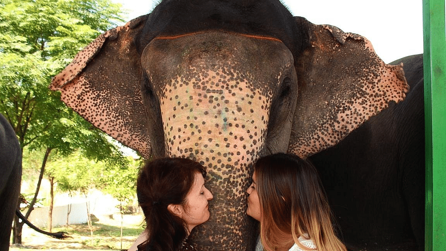 Suryaa Villa Jaipur - A Boutique Heritage Haveli Jaipur this-is-elephant-love