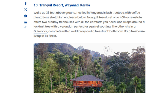 A travel article featuring an elevated wooden treehouse villa sitting 35 feet above the lush treetop canopy at Tranquil Resort, Wayanad.