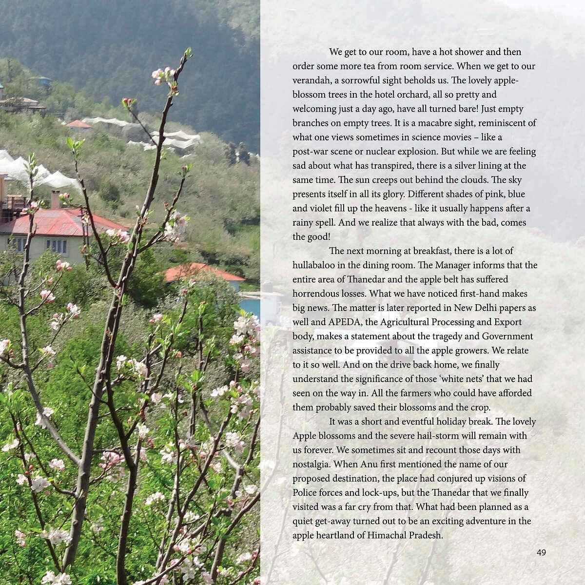 Plant photo displayed on a layout with descriptive text, shown at Karma Chalets.