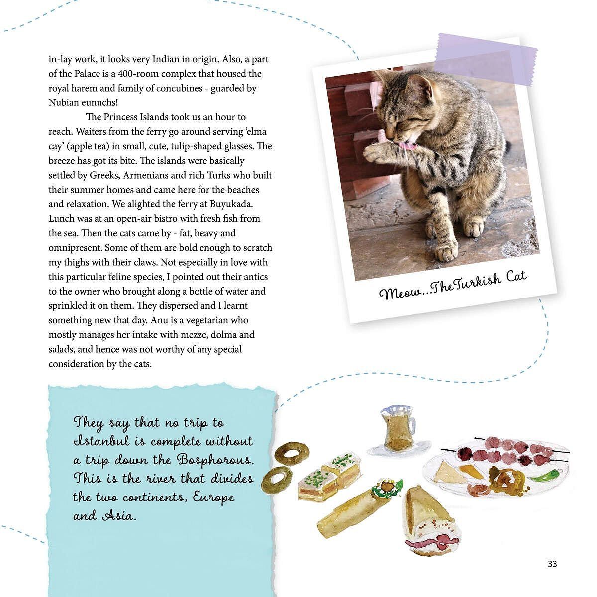 Photo of a carved stone cat figurine and Turkish souvenirs including ceramic items and keychains, featured at Karma Chalets.