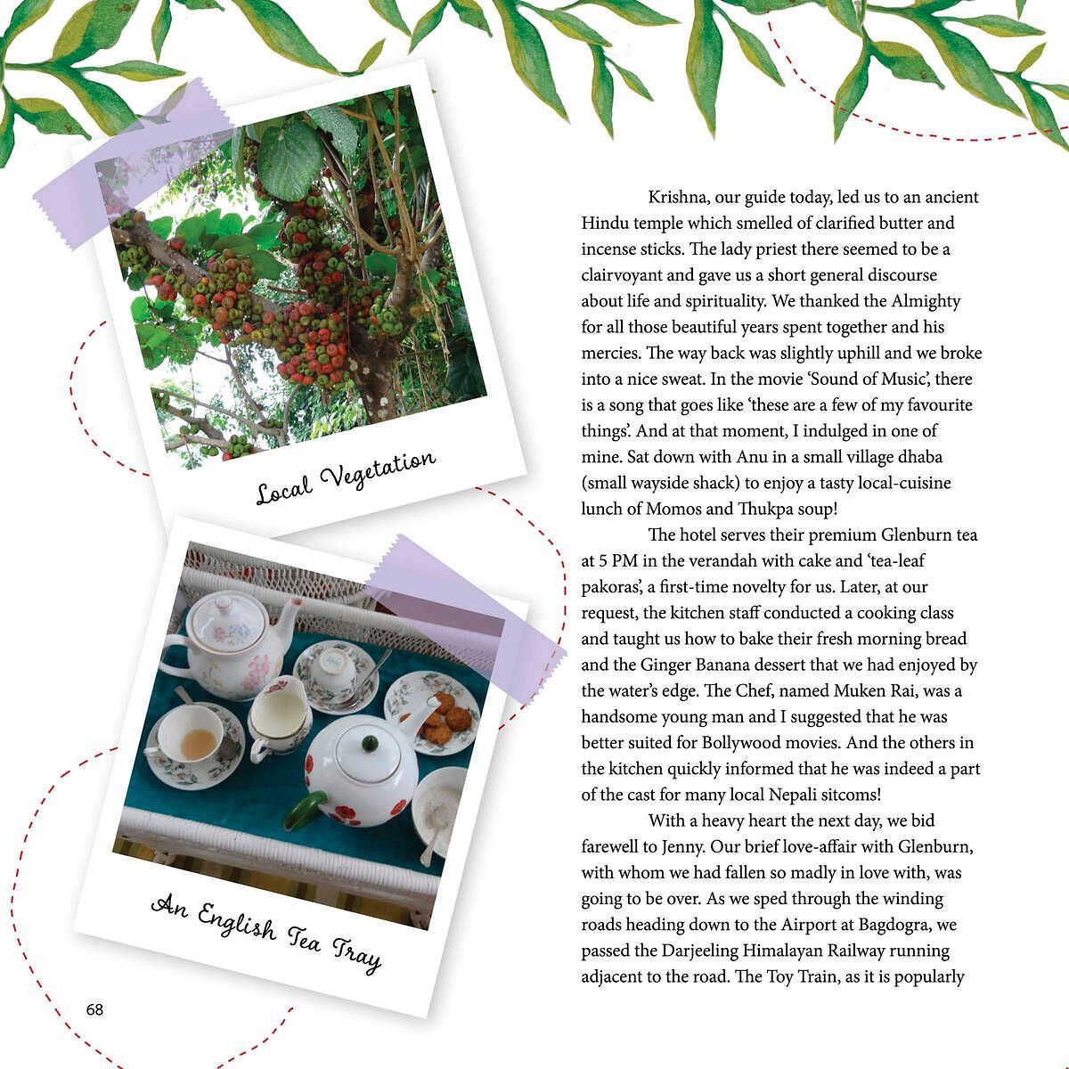 Tea plant and tea crockery photos displayed on a layout with descriptive text, shown at Karma Chalets.