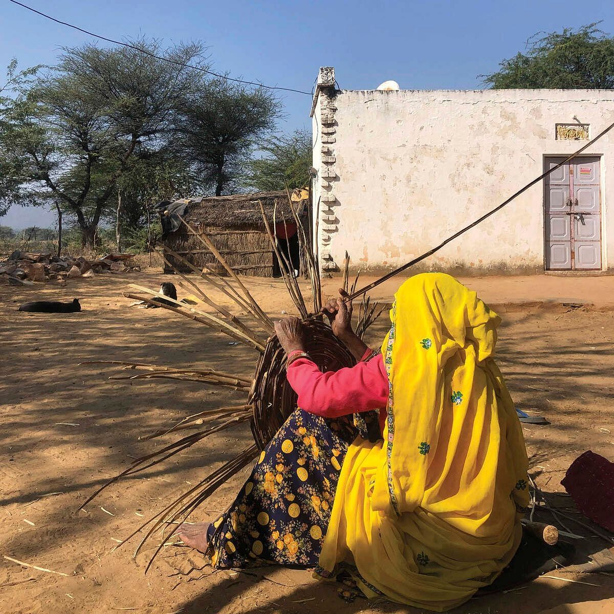 A woman weaving a bamboo basket on a field with a distant house and tress.